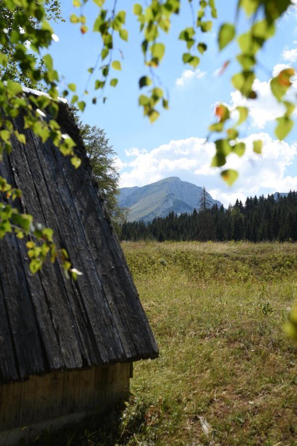 Willa Vukovic House-Moticki Gaj Žabljak Zewnętrze zdjęcie